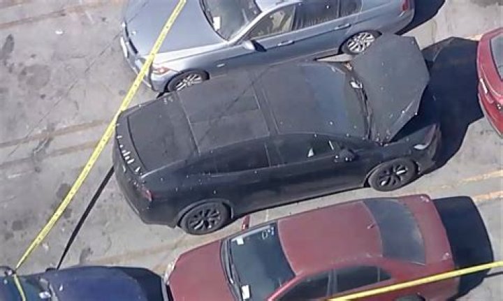 Body Found At His Property In Park City, Utah: Ken Block Autopsy
