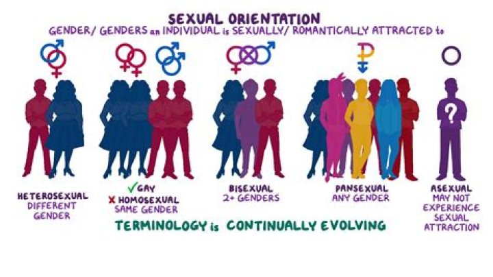 Finnster Sexuality | Is He Trans Or Gay | Gender And Partner