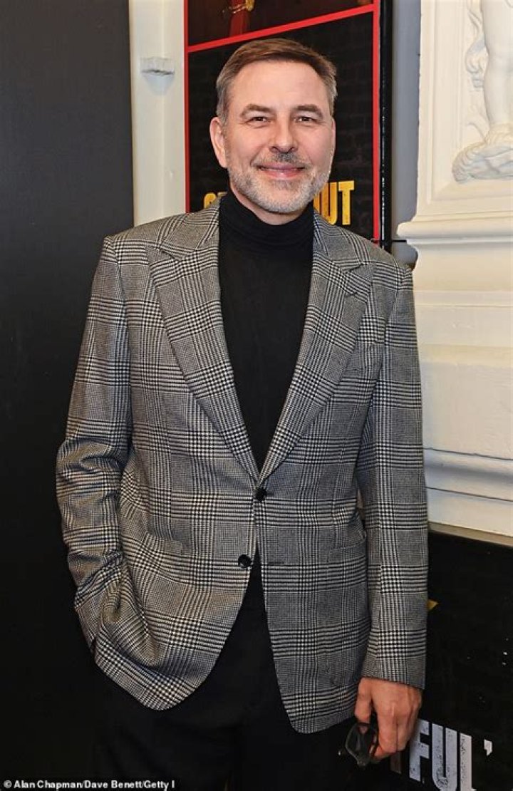 Is The “Who Do You Think You Are?” Actor David Walliams Gay Or Pansexual &amp; Does He Have A Partner?