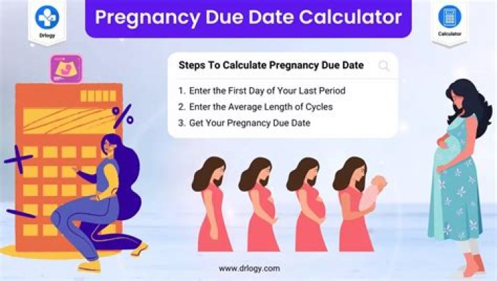 Rie McClenny is Pregnant With Husband Blair McClenny: Details to Follow on Baby Due Date and Gender