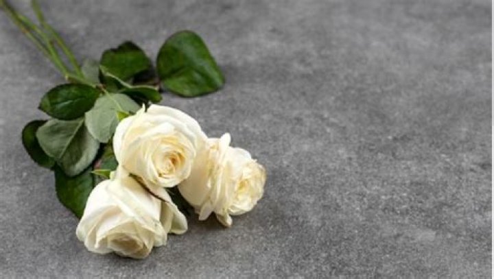 Zach Floss Obituary – What Happened? Death Cause And Accident Details